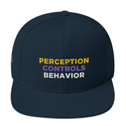 Perception Controls Behavior Snapback